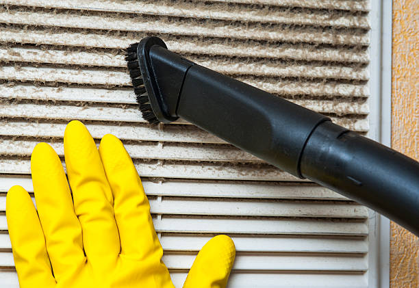 Best Home Air Vent Cleaning  in Oconto Falls, WI